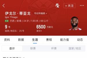 蜂王世界杯首秀!伊戈尔·蒂亚戈英超38场22球,但3月才巴西首秀
