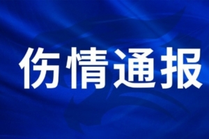 厄瓜多尔vs德国直播_厄瓜多尔vs德国高清无插件_厄瓜多尔vs德国视频直播